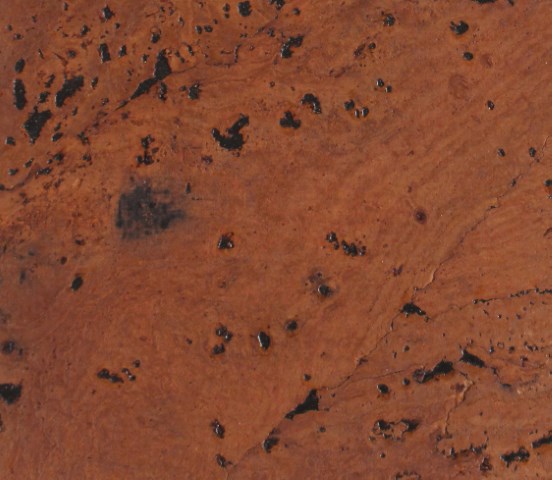 Deckwall decorativo de cortiça - Image 10