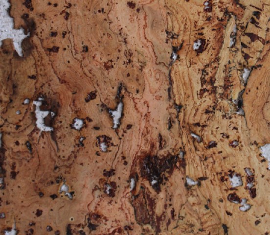 Deckwall decorativo de cortiça - Image 14