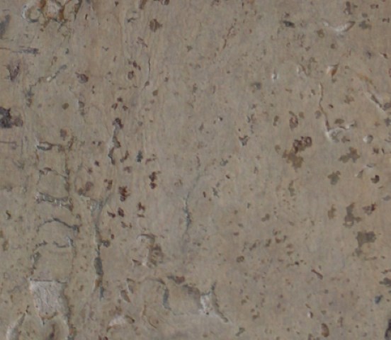 Deckwall decorativo de cortiça - Image 30